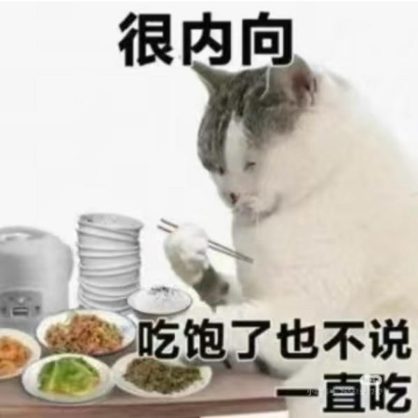 做饭修炼中
