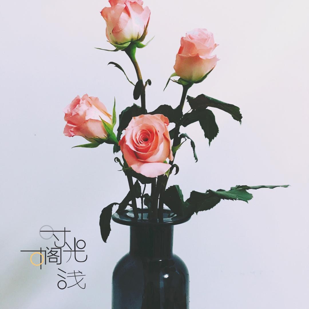 爱下厨的大西瓜