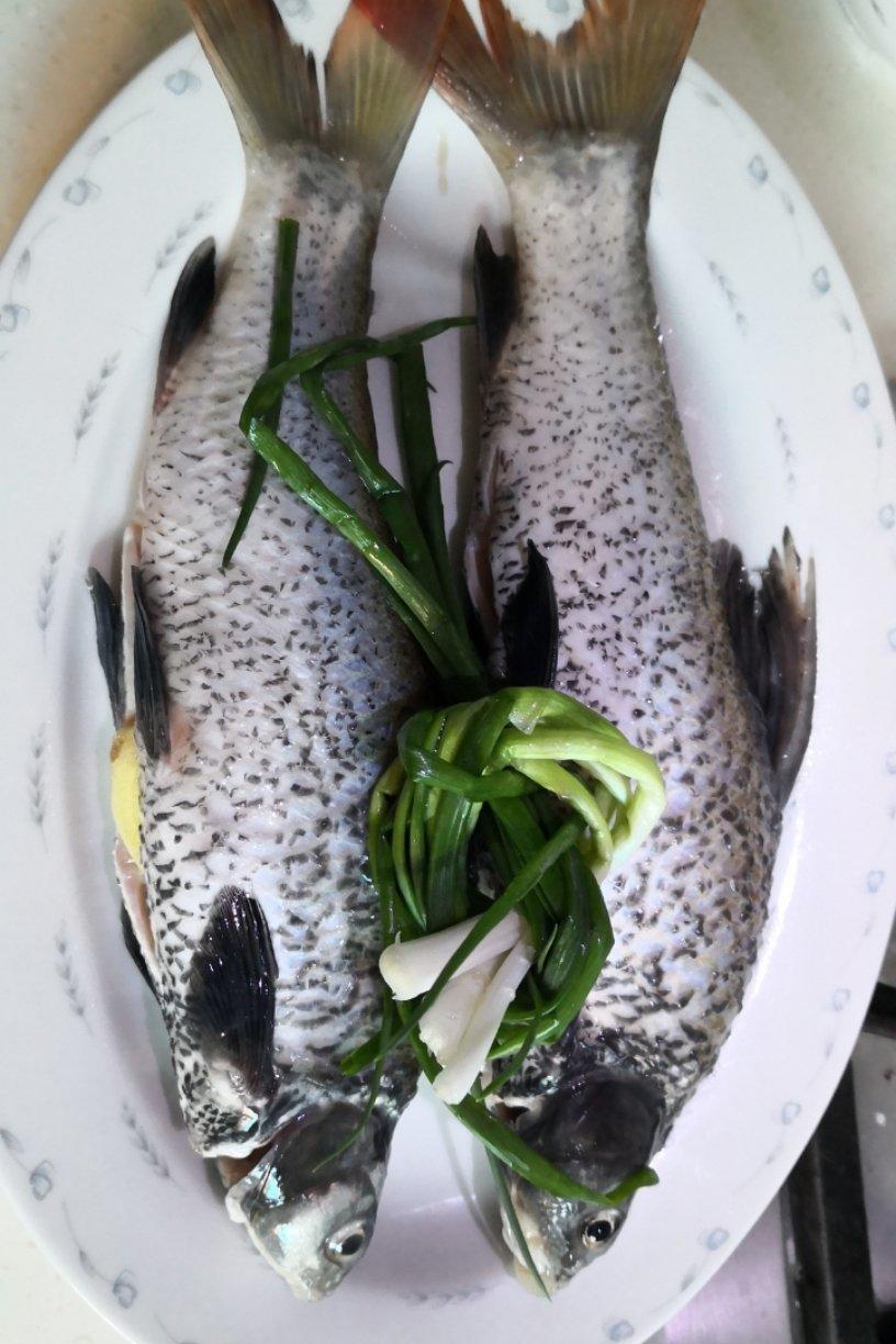 清蒸太湖石鲫鱼