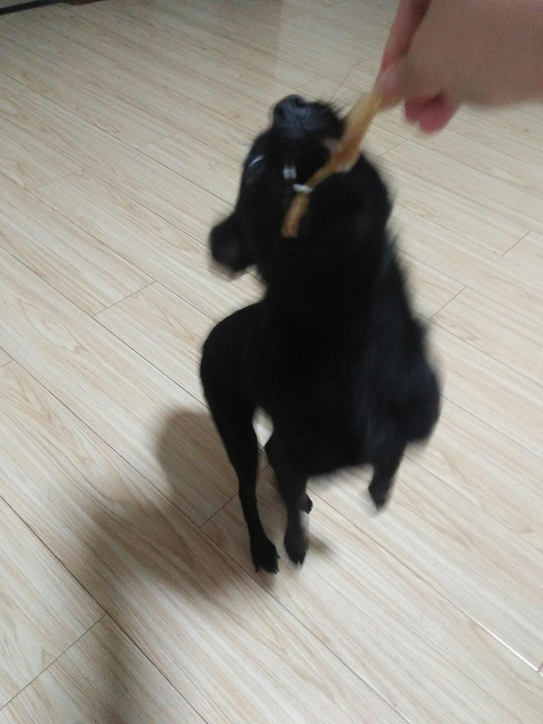宠物狗狗饼干零食（磨牙阿拉棒）