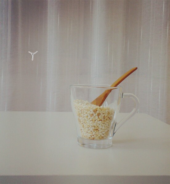 炒米—香香脆脆就是你