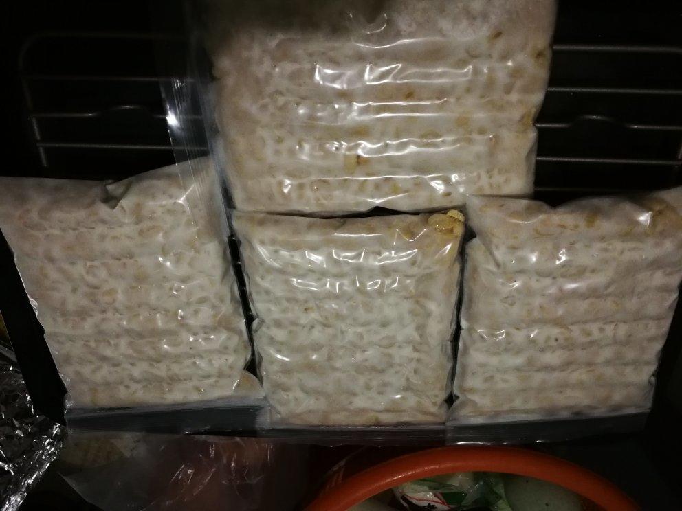 自制黄豆天贝丨发酵·豆类