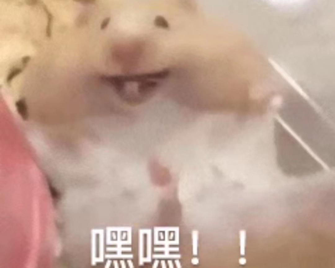 放点没地儿发的图