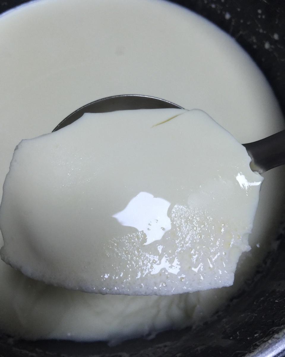 自制豆腐、豆腐脑（超详细）
