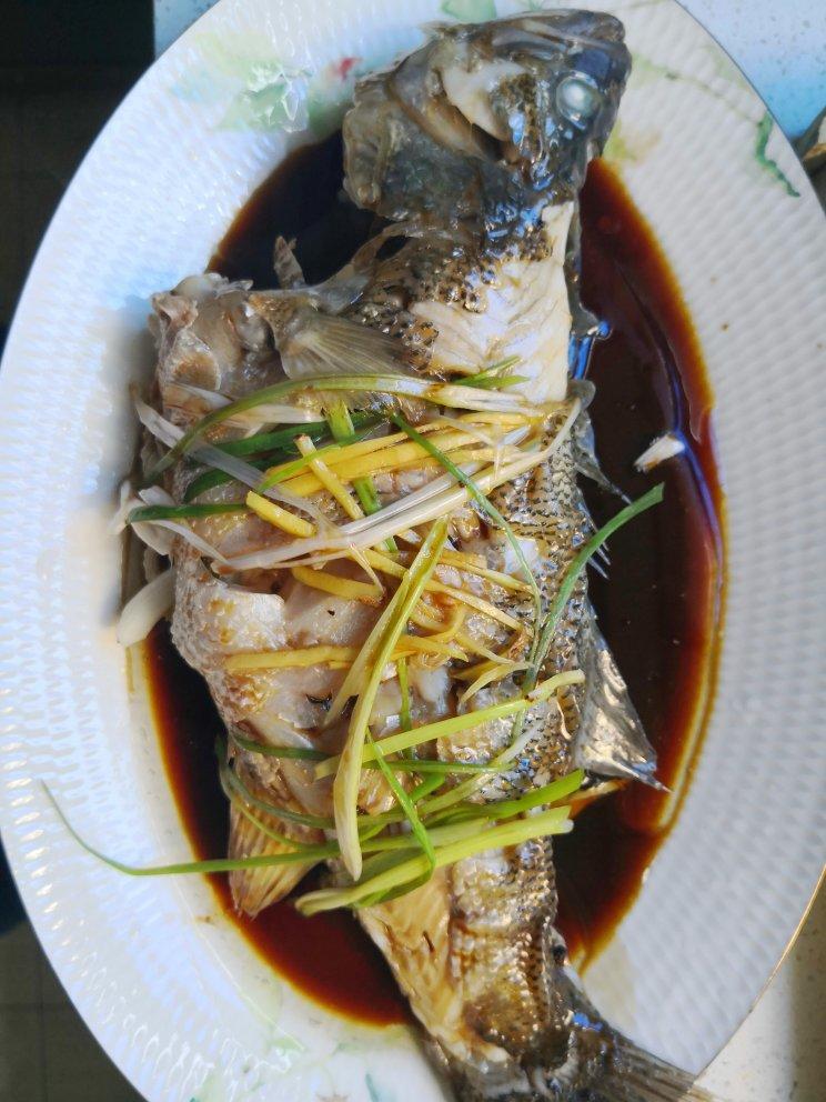 清蒸鱼（各种鱼）