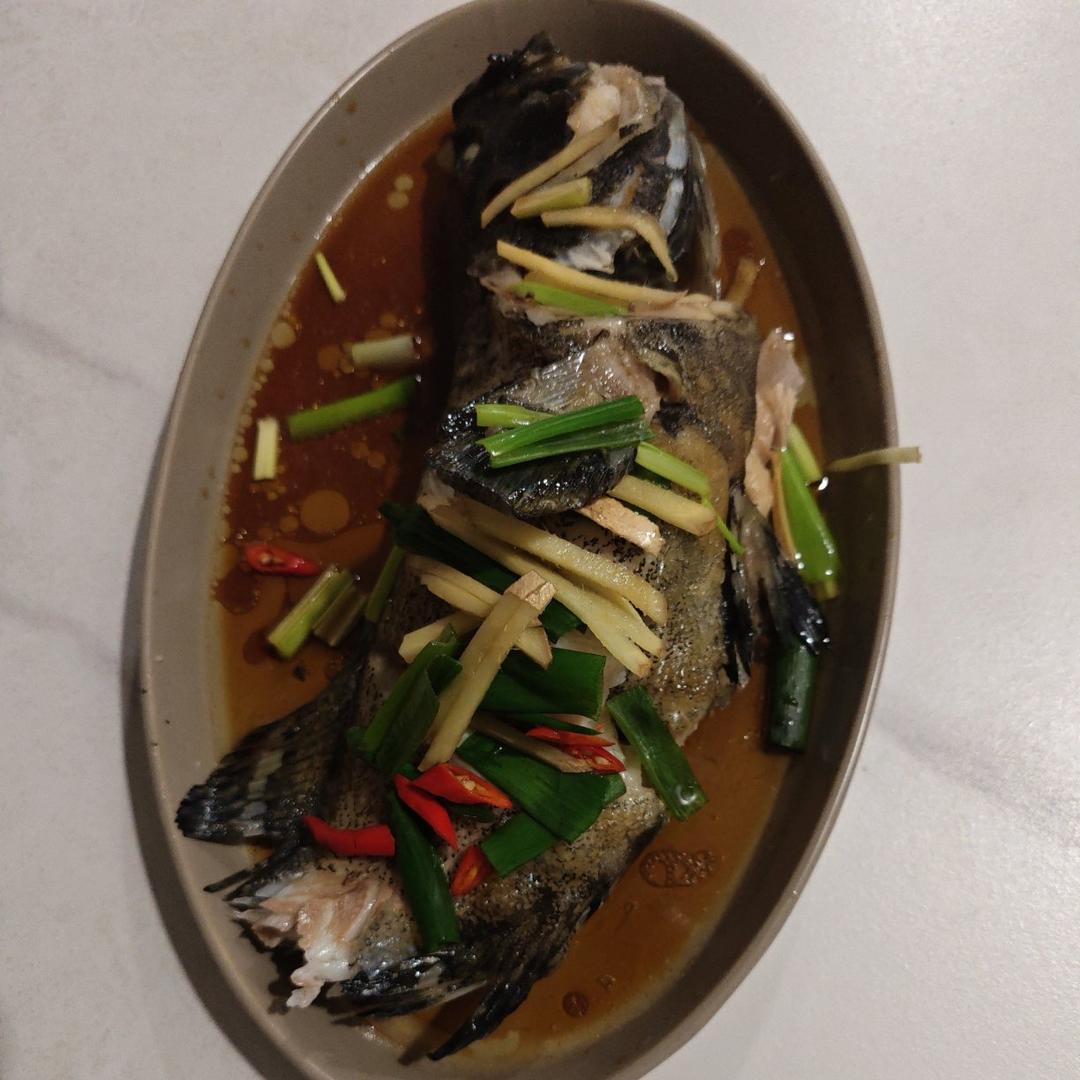清蒸石斑鱼