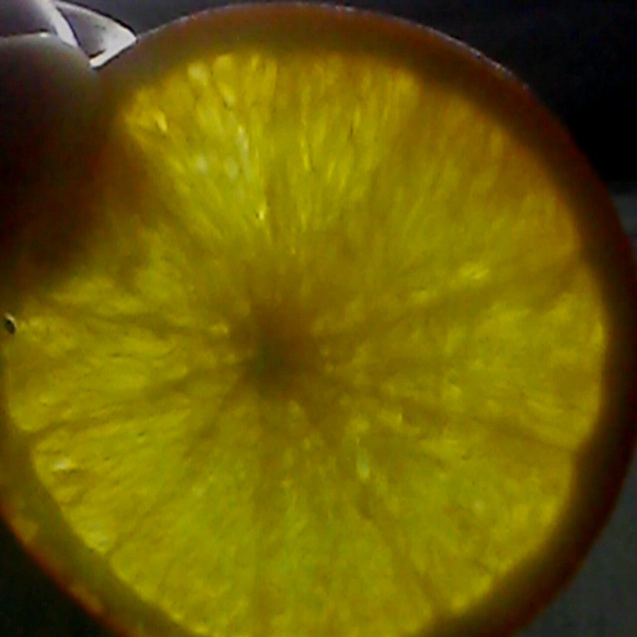 不伤手安全系数极高小孩子都可放心用的勺子1分钟剥脐橙法