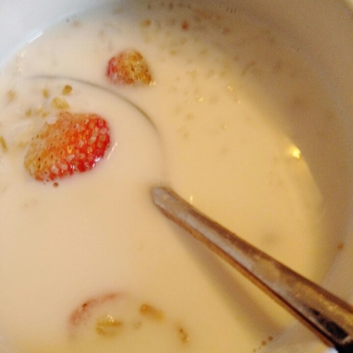 鸡蛋枸杞牛奶燕麦