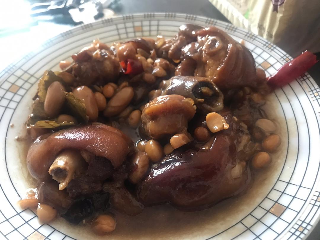 annaxiaobai做的黄酒炖猪蹄 《向往的生活》同款