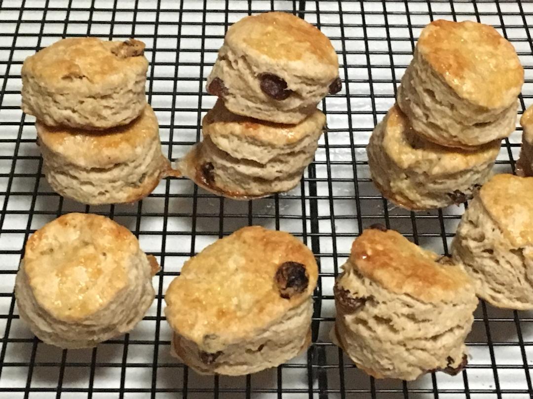 朴素的椰子油咸司康<Coconut Oil Biscuits>