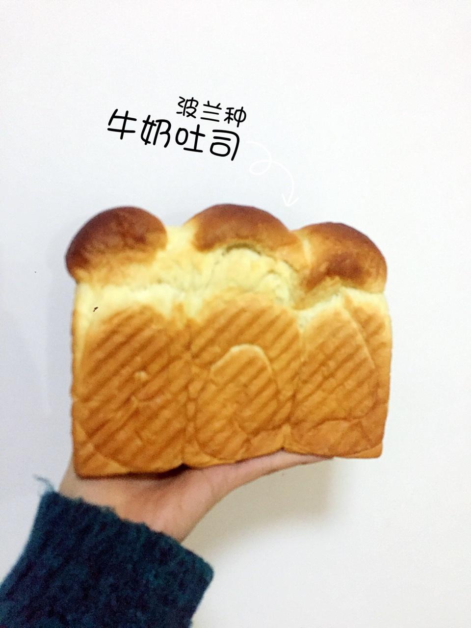 不完美吐司纪录 一年能做到一百条吐司吗？