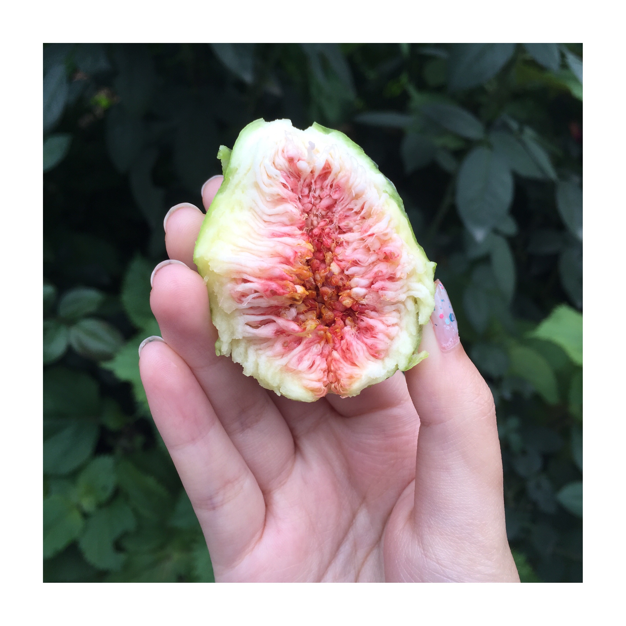 无花果土豪吃法