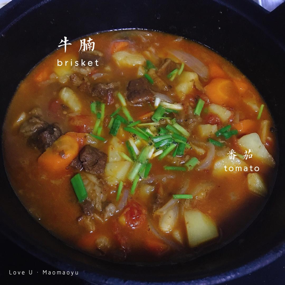 一个话唠包教包会的香浓红烩牛腩