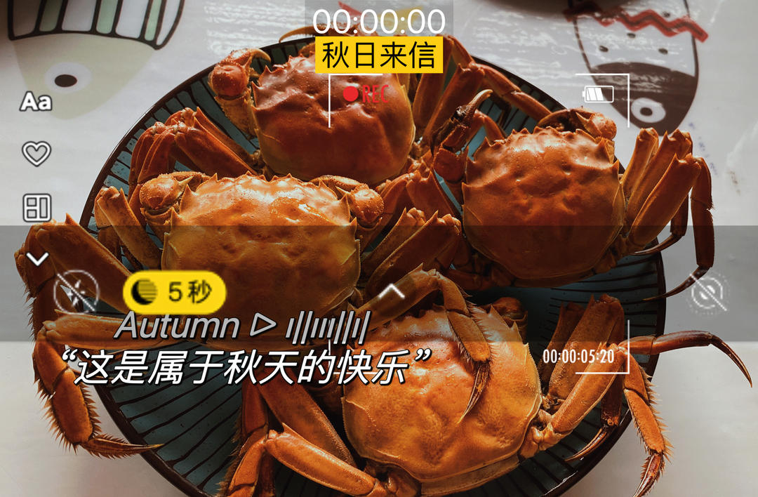 清蒸大闸蟹