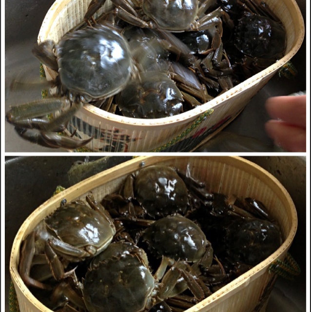 清蒸螃蟹