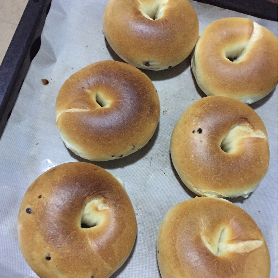 贝果纪录