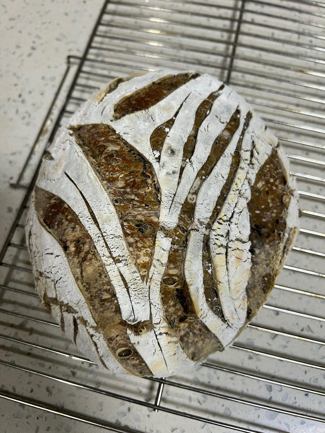 【Sourdough】天然酵种红薯欧包（附不同割包刀片使用体会）