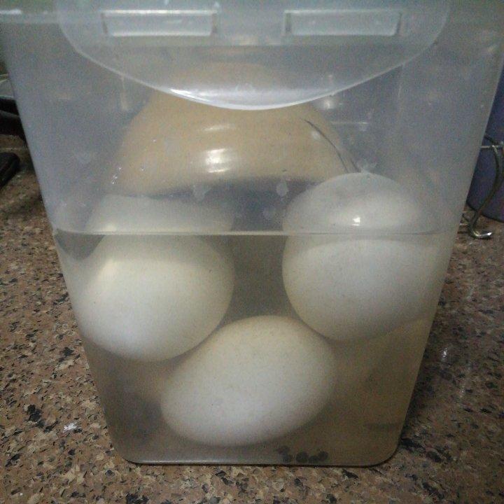 煮花椒盐水腌鹅蛋