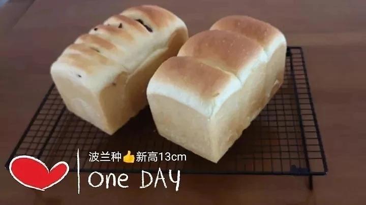 波兰种奶油吐司
