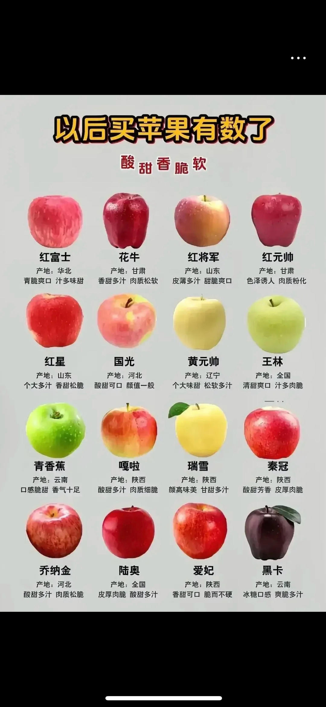 胖囡A