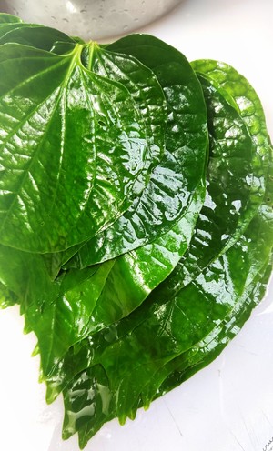 【蛤蒌粽—湛江风味的做法步骤图,怎么做好吃】梁大宝的梁小宝呀_下厨房