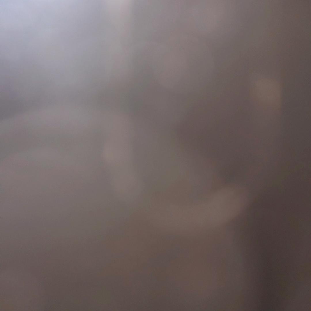 黄瓜炒鸡蛋（能吃出肉味的）