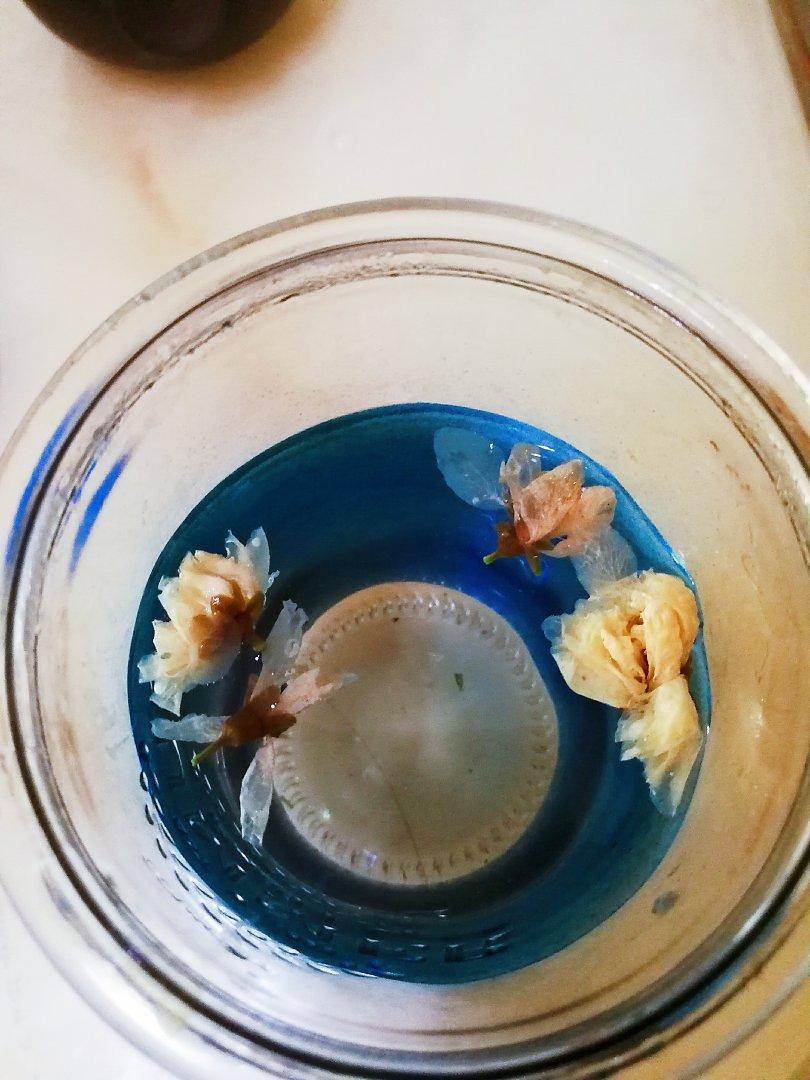 排毒养颜桃花饮品