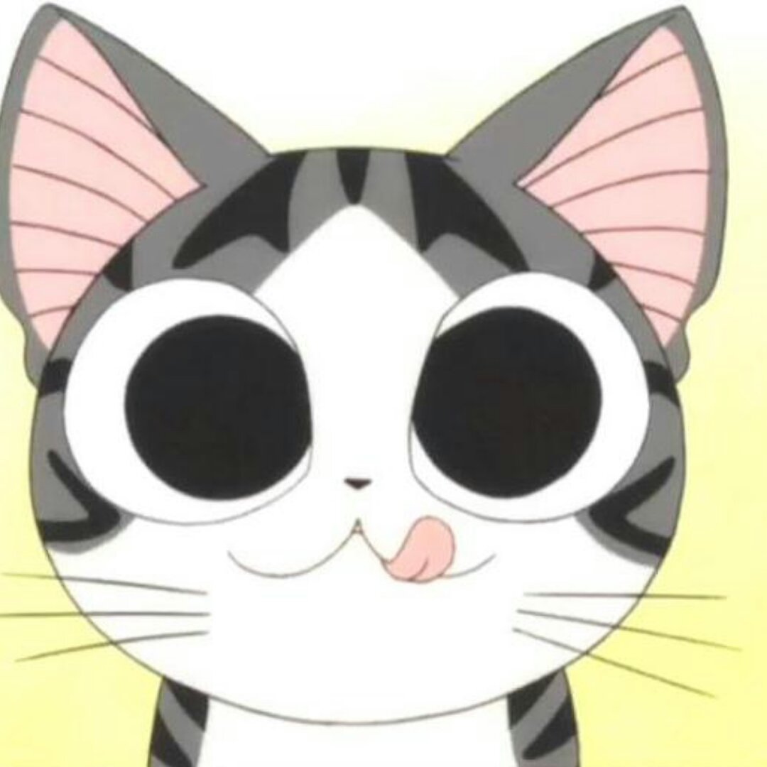 球球猫o