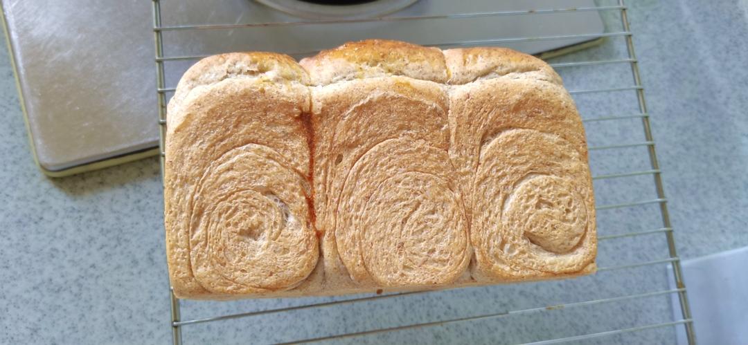 波兰种全麦吐司（40%全麦）