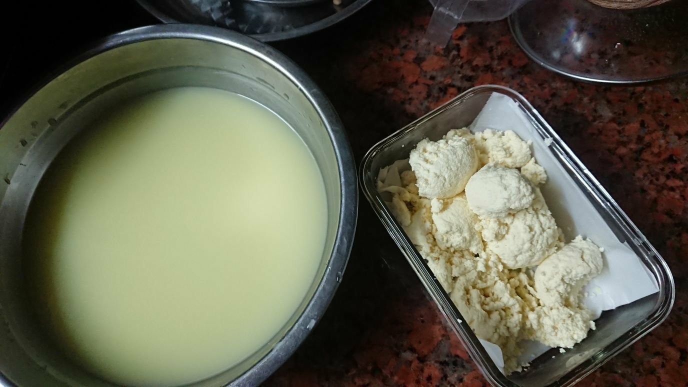 随意菜谱：奶粉自制奶油奶酪