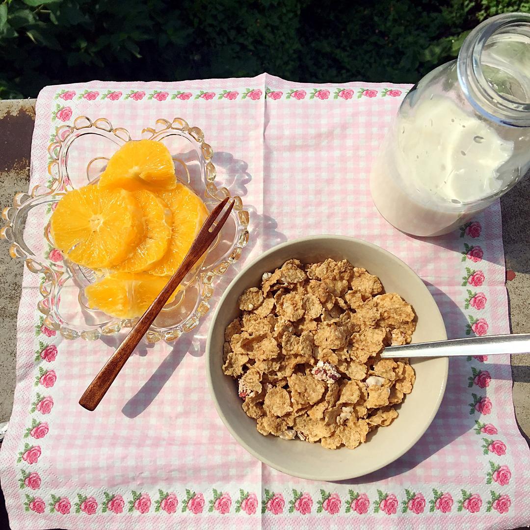 麦片的第万种食法