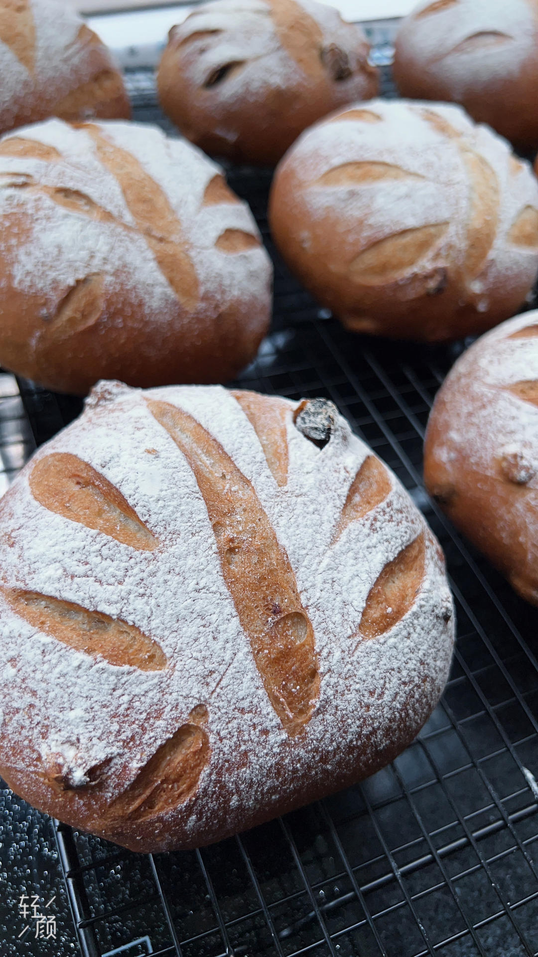 低油低糖--提子核桃软欧