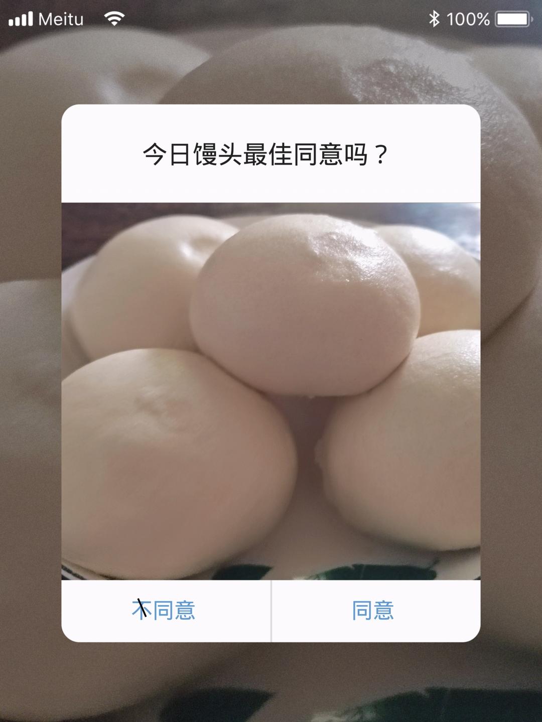 新手做馒头也能100%成功——附上非常详细的视频步骤（一次发酵法）