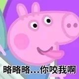 虾仔大厨