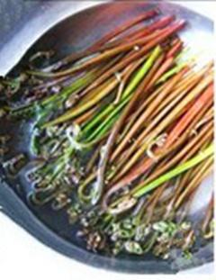 珍选捞汁蕨菜的做法 步骤1