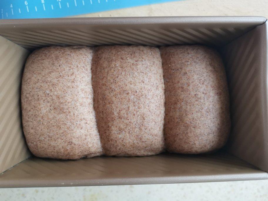 全麦吐司（直接法）
