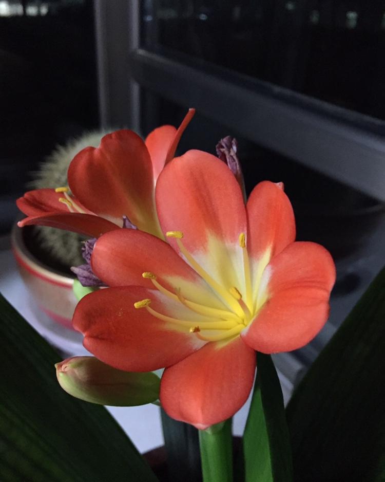 早餐•2019年1月7日