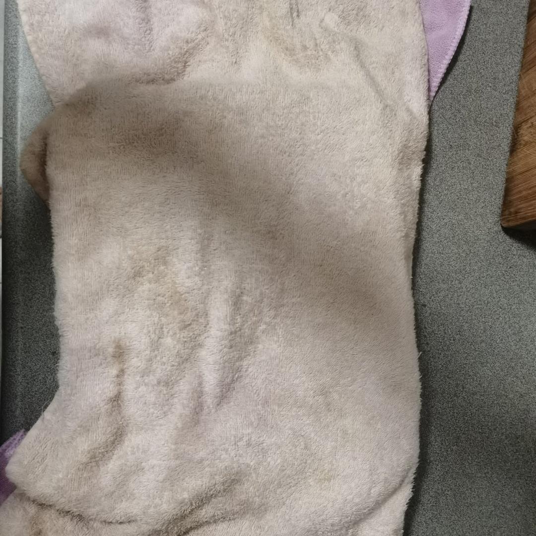 新手零失败烤栗子