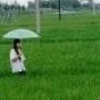 往事如烟-79