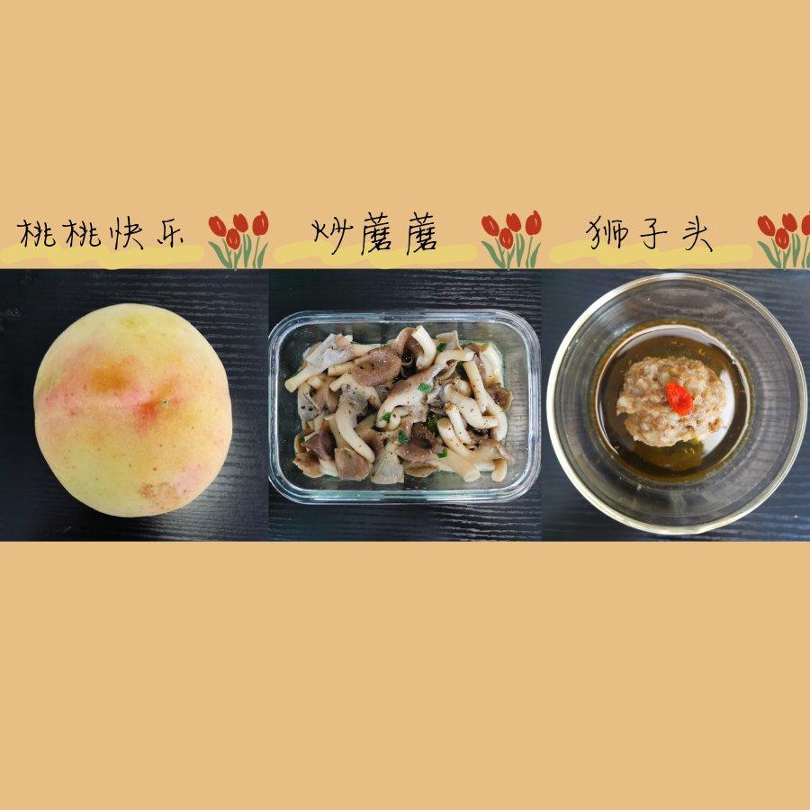 更期待明天的便当集🍱🥢