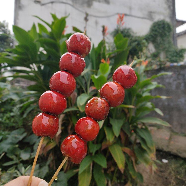 堂妈教你做冰糖葫芦