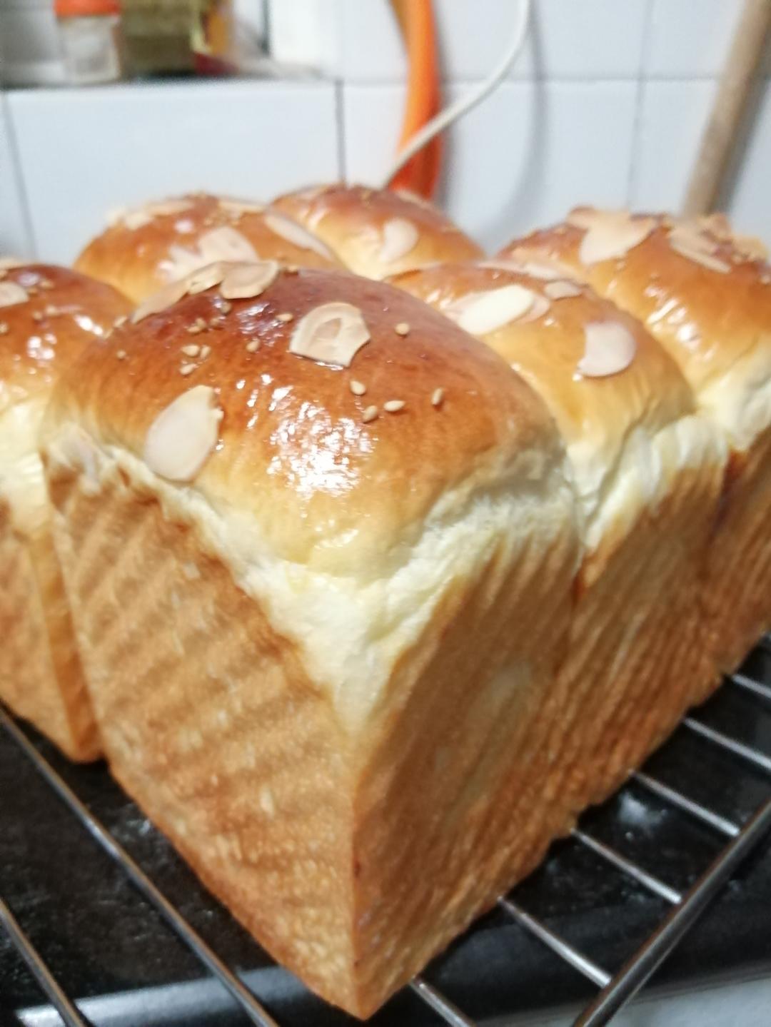 波兰种牛奶吐司