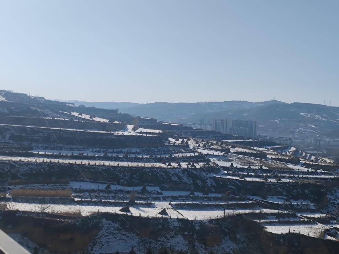 浆水玉米面片