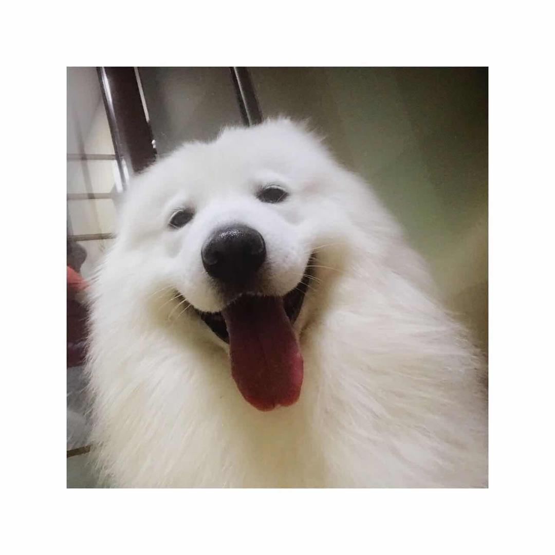 沈蓓俊
