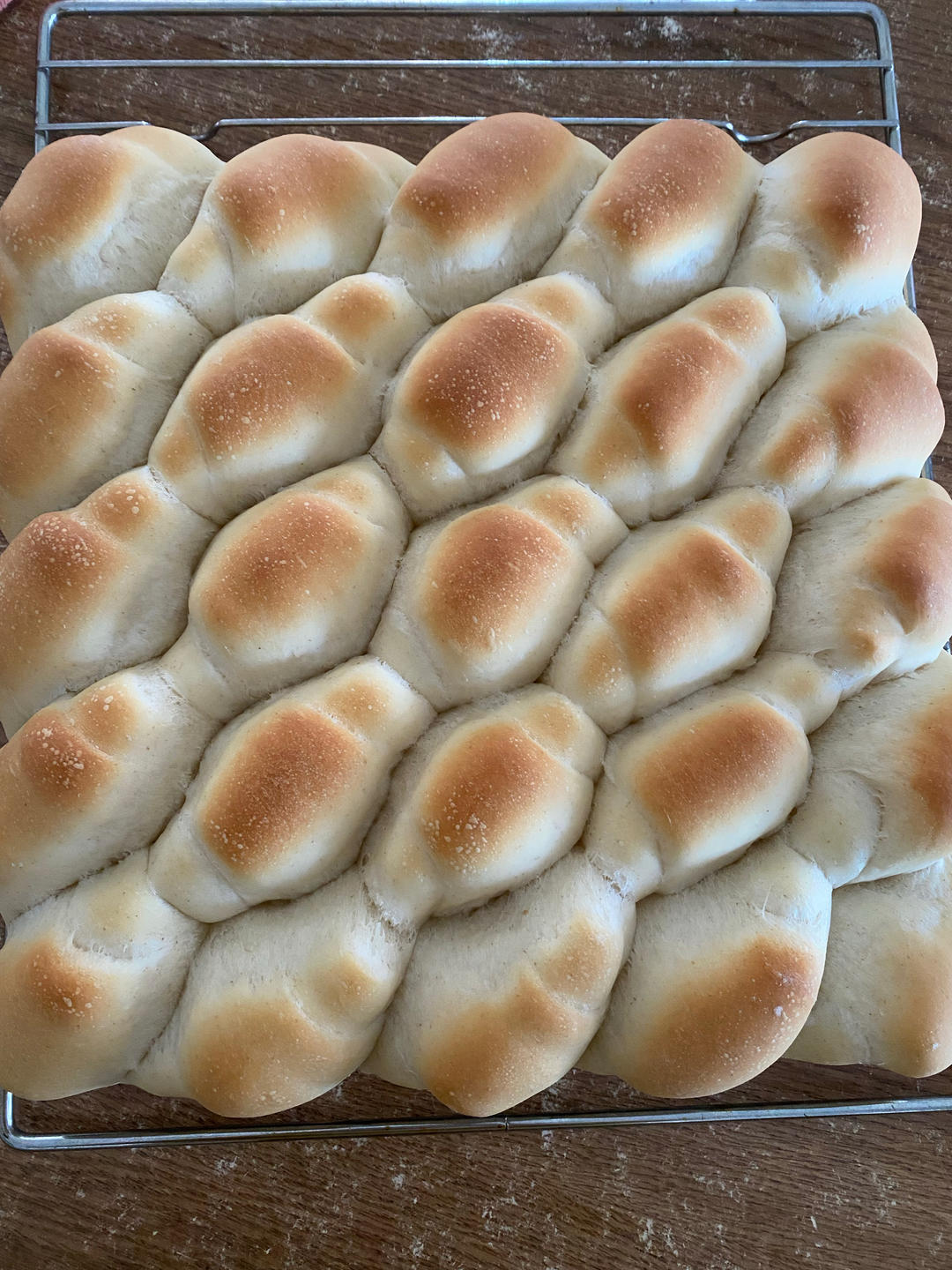 “揪揪家族”之全麦小揪揪