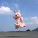 努力的郑奈斯