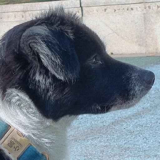 我的爱与美食不可辜负