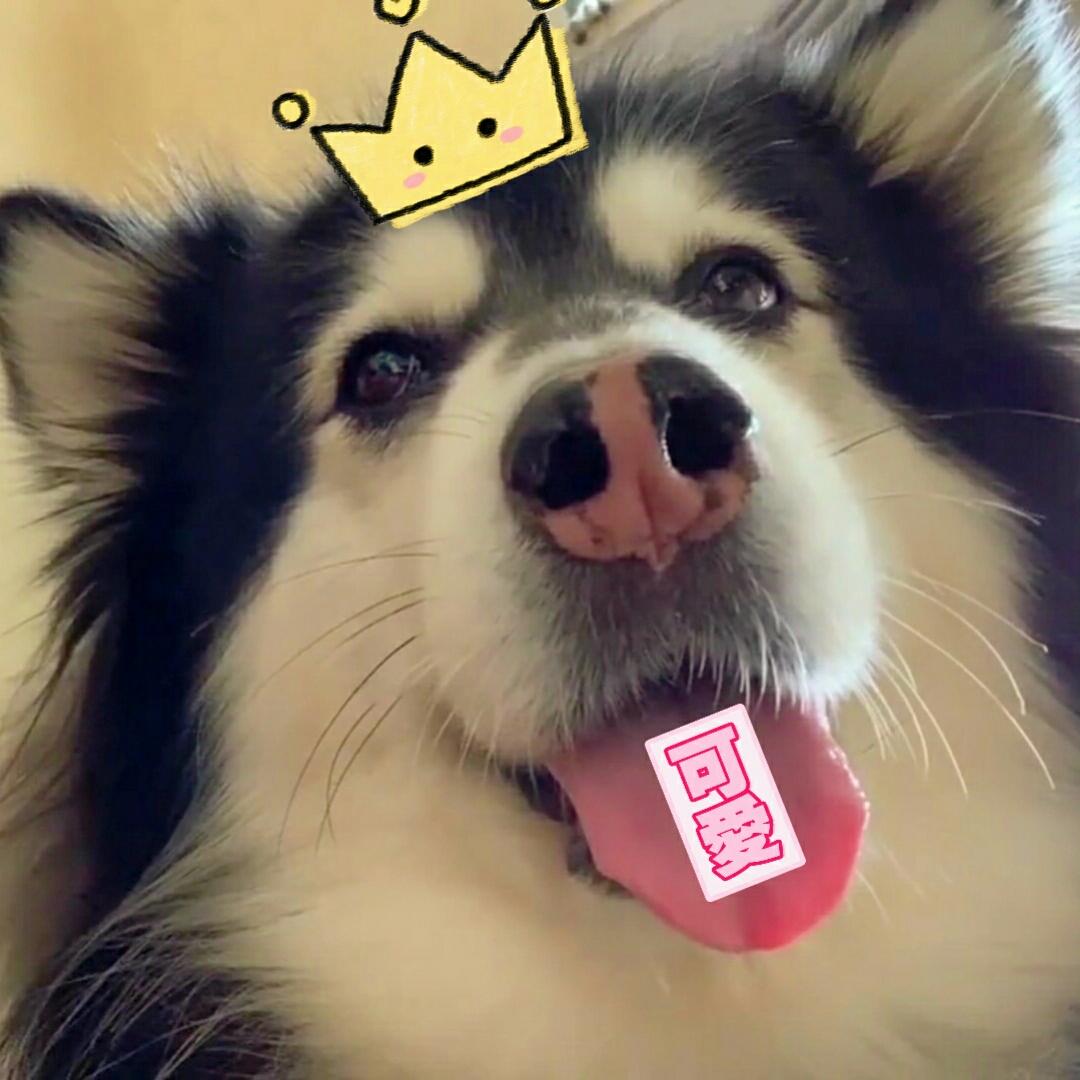 红烧肉你不吃？