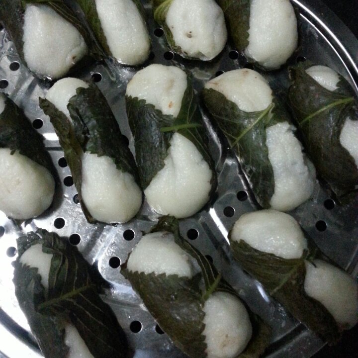 怪味果果做的苏叶干粮