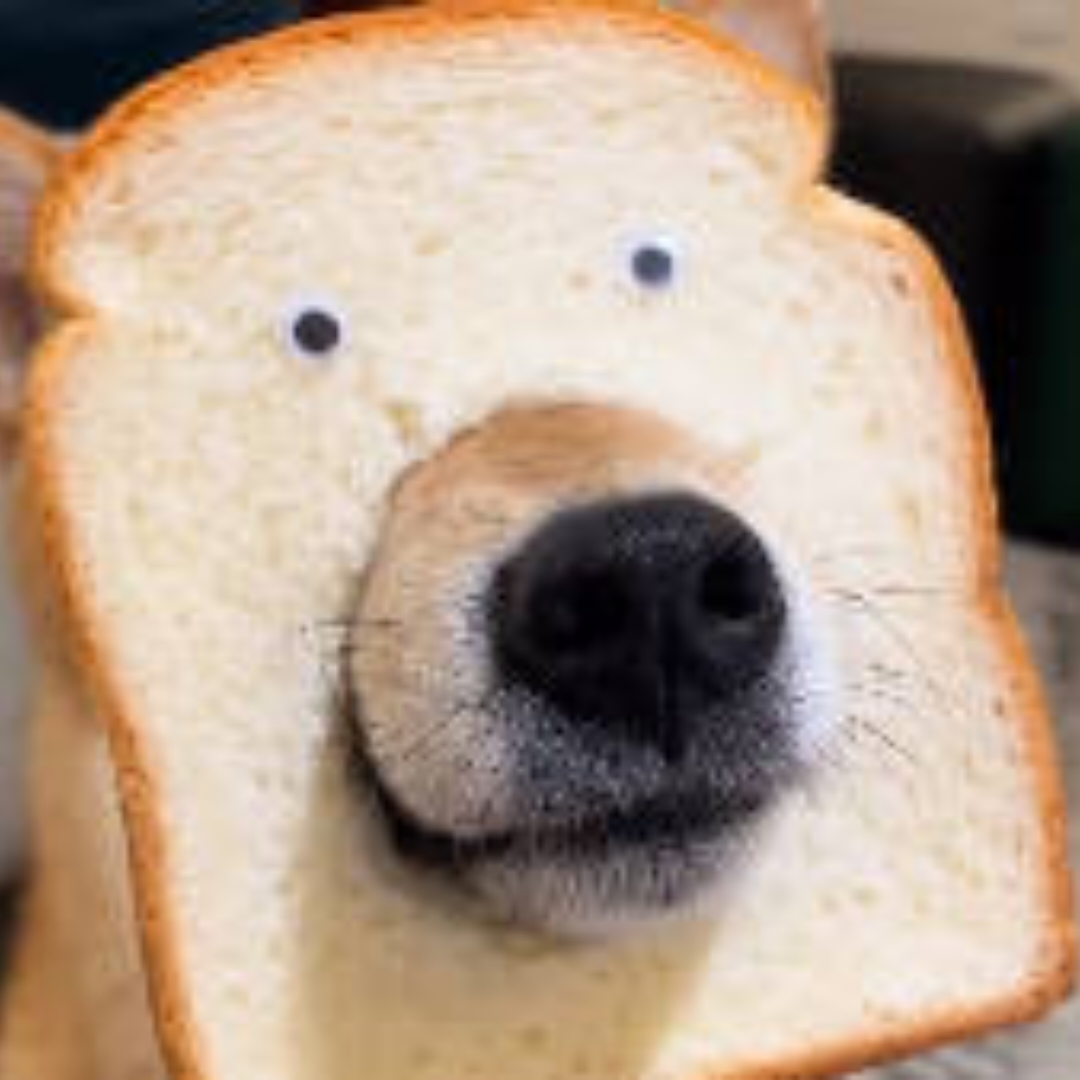 想做一只面包狗